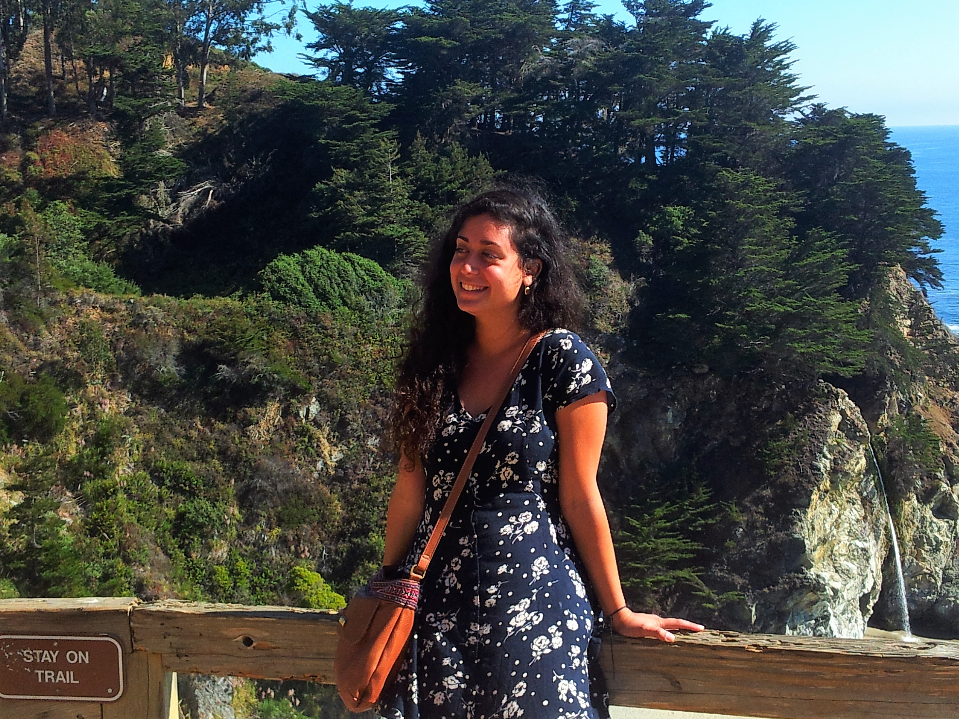 ליטל מאירזדה